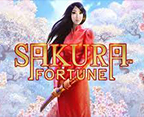 Sakura Fortune